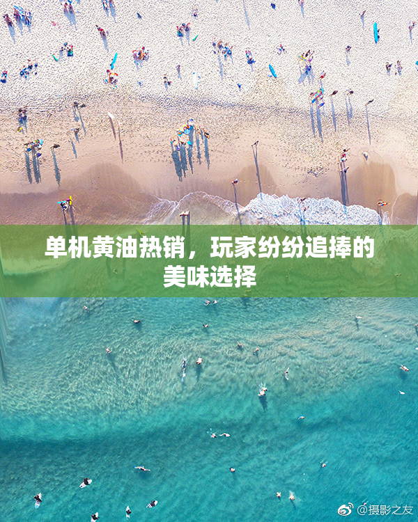 单机黄油热销，玩家纷纷追捧的美味选择