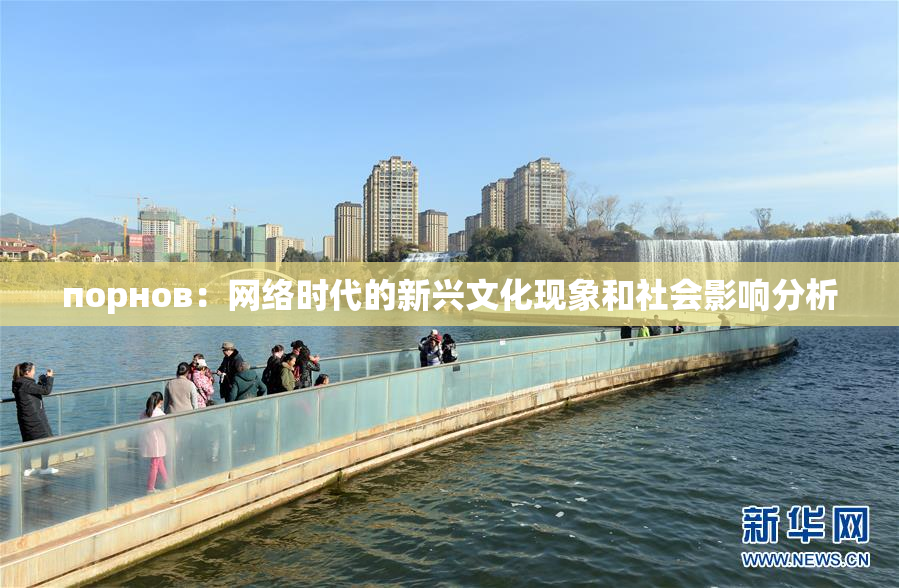 порнов：网络时代的新兴文化现象和社会影响分析