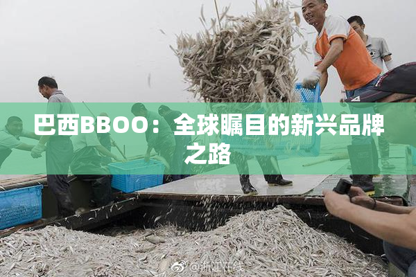 巴西BBOO：全球瞩目的新兴品牌之路