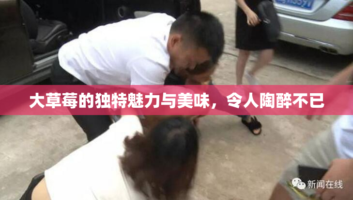 大草莓的独特魅力与美味，令人陶醉不已