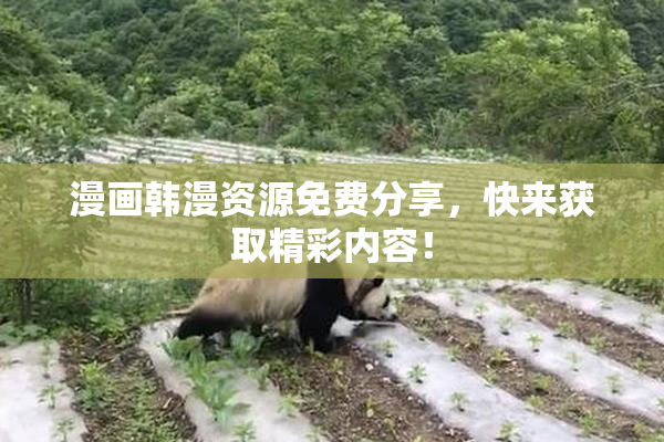 漫画韩漫资源免费分享，快来获取精彩内容！