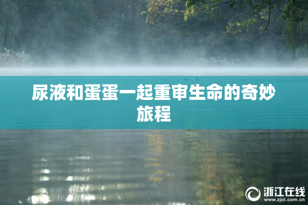尿液和蛋蛋一起重审生命的奇妙旅程