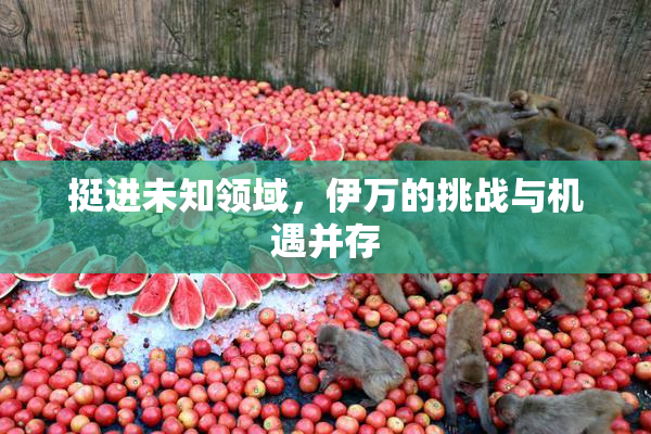 挺进未知领域，伊万的挑战与机遇并存