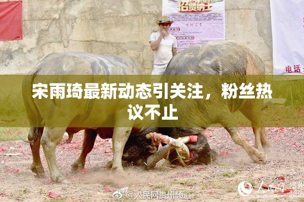 宋雨琦最新动态引关注，粉丝热议不止