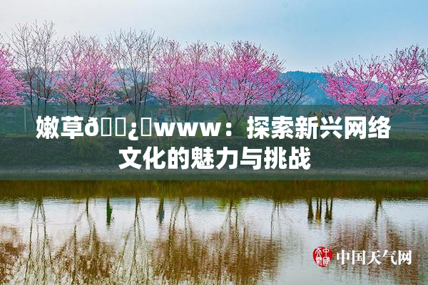嫩草🌿‌www：探索新兴网络文化的魅力与挑战