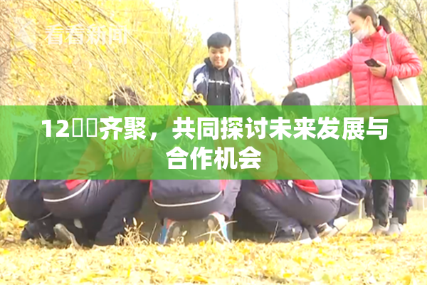 12妺妺齐聚，共同探讨未来发展与合作机会