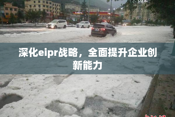 深化eipr战略，全面提升企业创新能力
