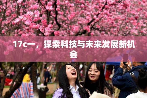 17c一，探索科技与未来发展新机会