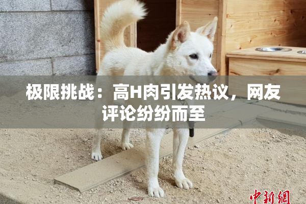 极限挑战：高H肉引发热议，网友评论纷纷而至