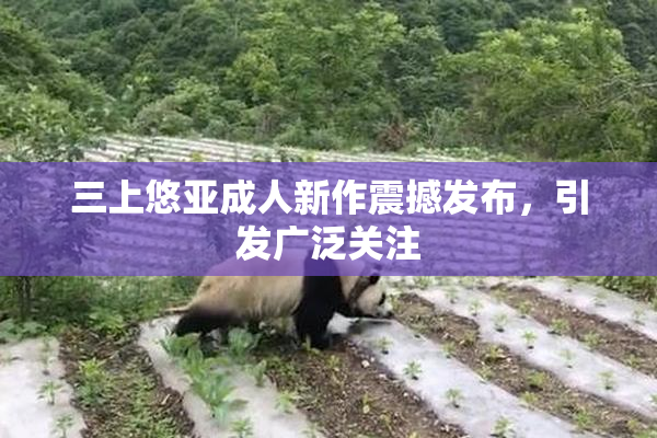 三上悠亚成人新作震撼发布，引发广泛关注