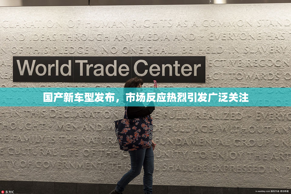 国产新车型发布，市场反应热烈引发广泛关注