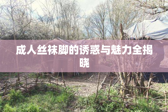 成人丝袜脚的诱惑与魅力全揭晓