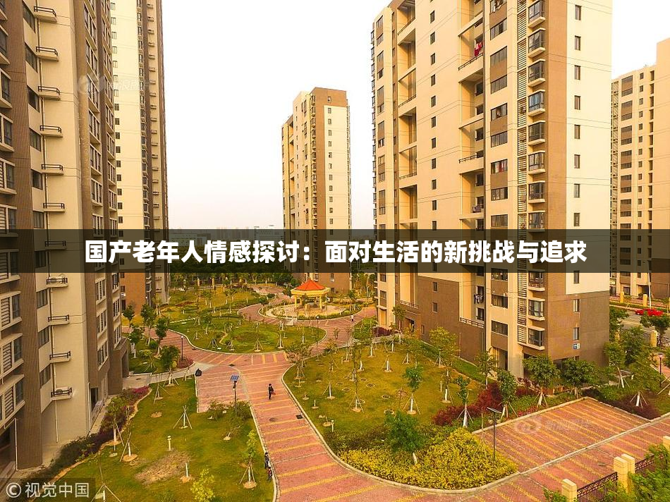 国产老年人情感探讨：面对生活的新挑战与追求