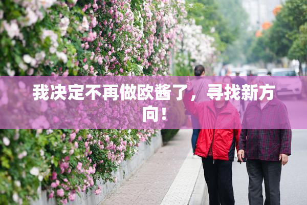 我决定不再做欧酱了，寻找新方向！