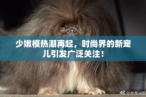 少嫩模热潮再起，时尚界的新宠儿引发广泛关注！