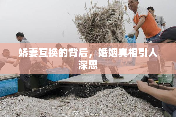 娇妻互换的背后，婚姻真相引人深思
