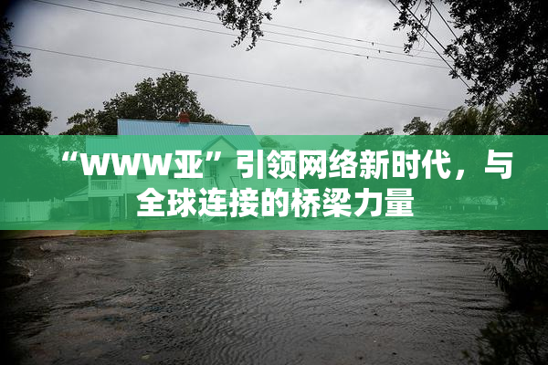 “WWW亚”引领网络新时代，与全球连接的桥梁力量