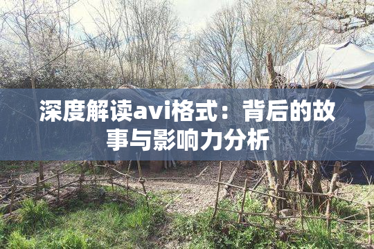 深度解读avi格式：背后的故事与影响力分析