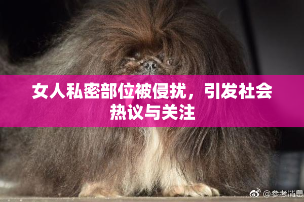女人私密部位被侵扰，引发社会热议与关注