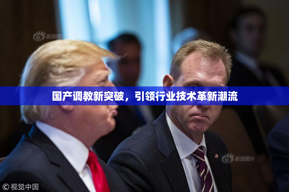 国产调教新突破，引领行业技术革新潮流