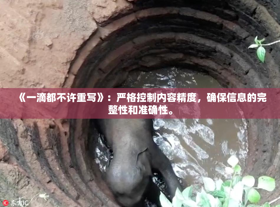 《一滴都不许重写》：严格控制内容精度，确保信息的完整性和准确性。