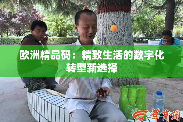 欧洲精品码：精致生活的数字化转型新选择