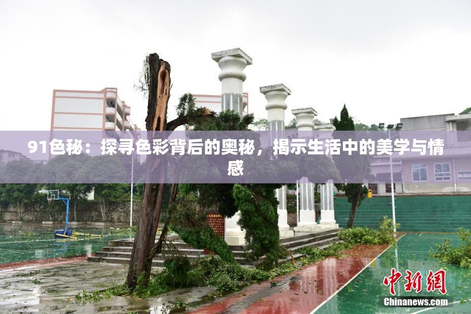 91色秘：探寻色彩背后的奥秘，揭示生活中的美学与情感