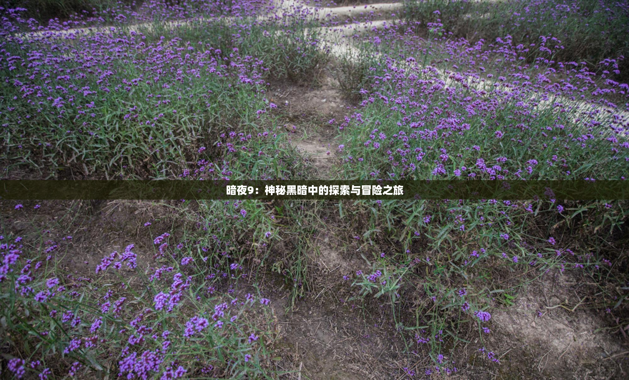 暗夜9：神秘黑暗中的探索与冒险之旅