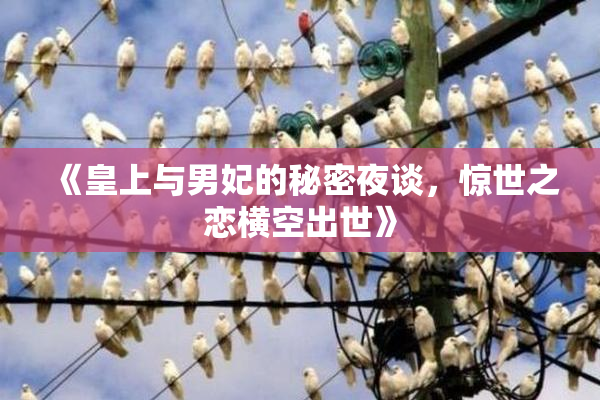 《皇上与男妃的秘密夜谈，惊世之恋横空出世》