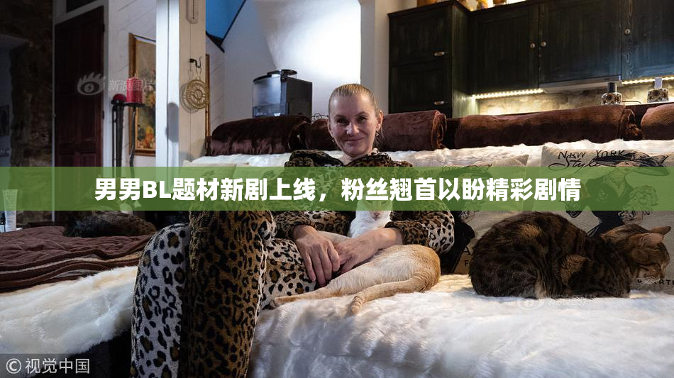 男男BL题材新剧上线，粉丝翘首以盼精彩剧情