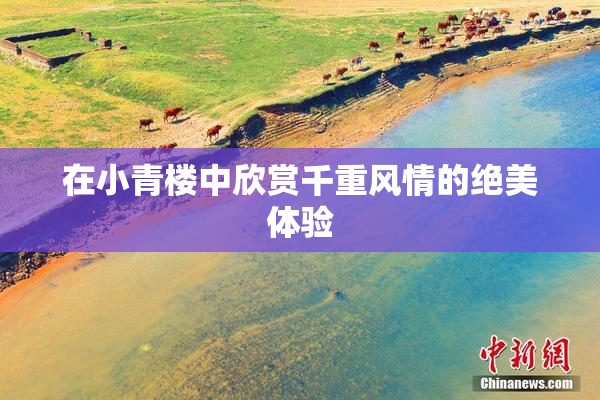 在小青楼中欣赏千重风情的绝美体验