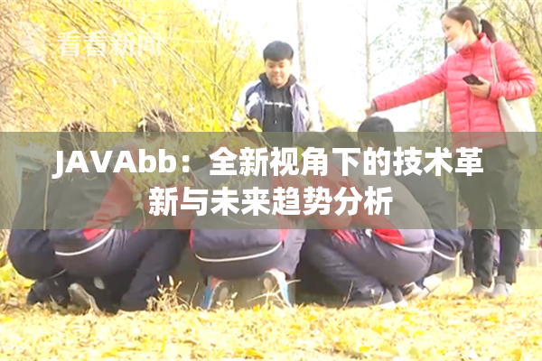 JAVAbb：全新视角下的技术革新与未来趋势分析