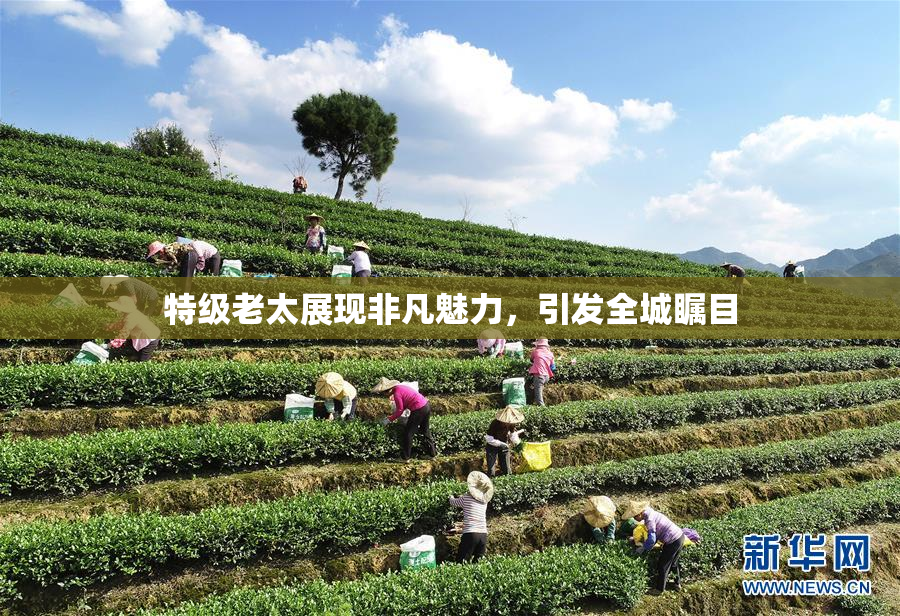 特级老太展现非凡魅力，引发全城瞩目