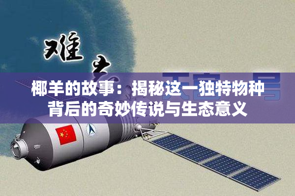 椰羊的故事：揭秘这一独特物种背后的奇妙传说与生态意义