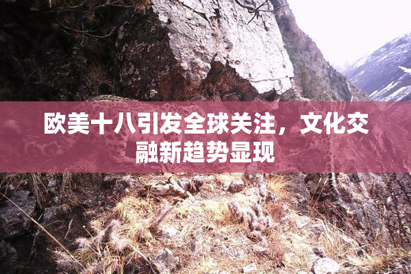 欧美十八引发全球关注，文化交融新趋势显现