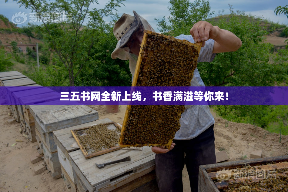 三五书网全新上线，书香满溢等你来！