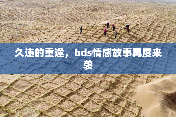 久违的重逢，bds情感故事再度来袭