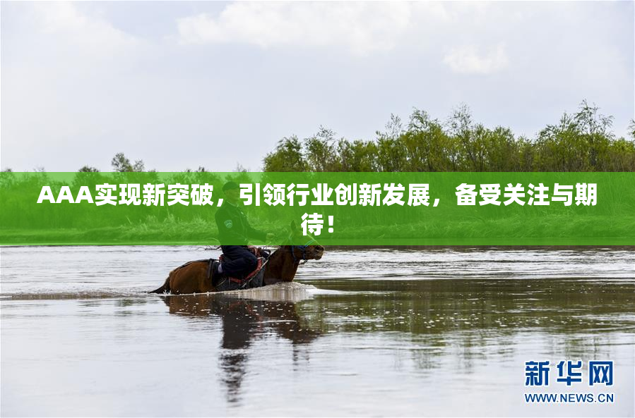 AAA实现新突破，引领行业创新发展，备受关注与期待！