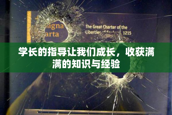 学长的指导让我们成长，收获满满的知识与经验