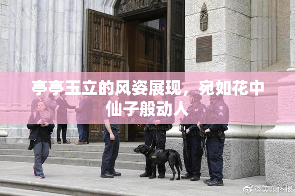 亭亭玉立的风姿展现，宛如花中仙子般动人
