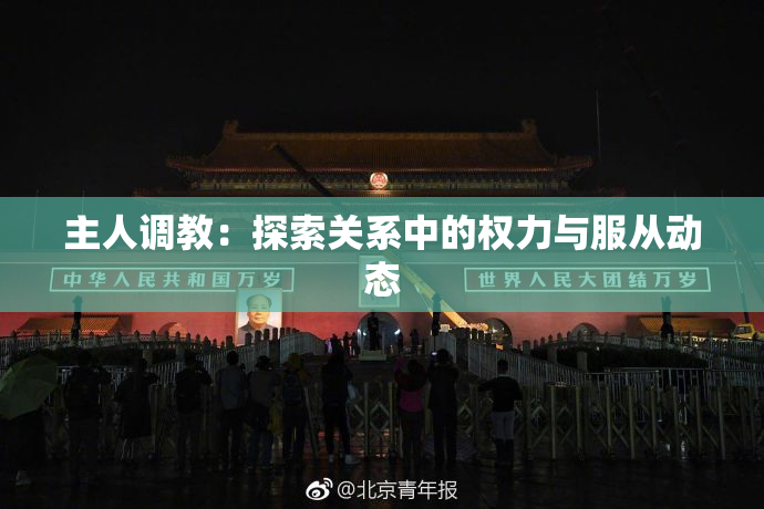 主人调教：探索关系中的权力与服从动态