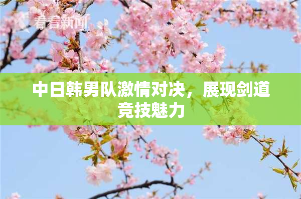 中日韩男队激情对决，展现剑道竞技魅力