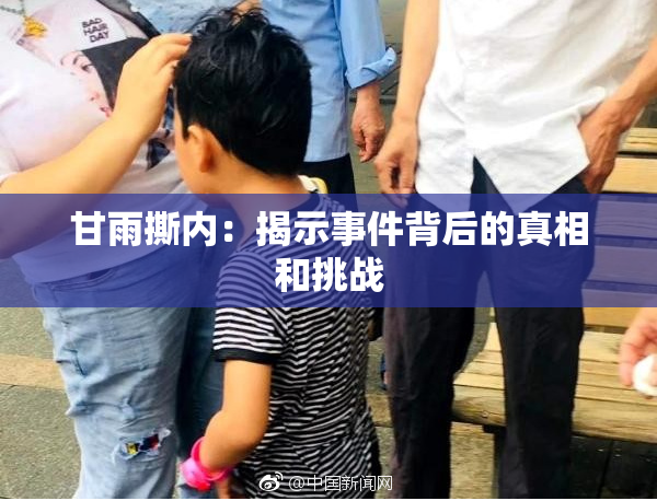甘雨撕内：揭示事件背后的真相和挑战