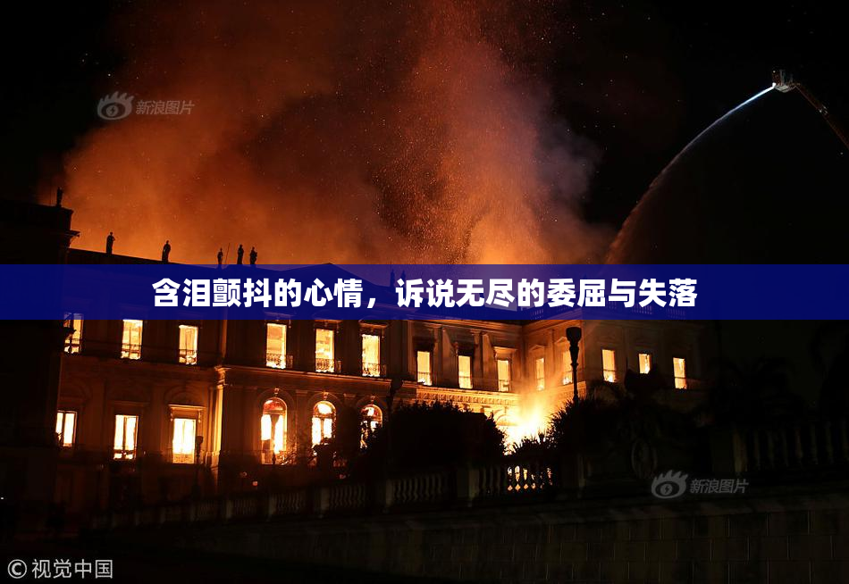 含泪颤抖的心情，诉说无尽的委屈与失落