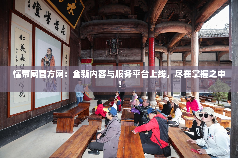 懂帝网官方网：全新内容与服务平台上线，尽在掌握之中！