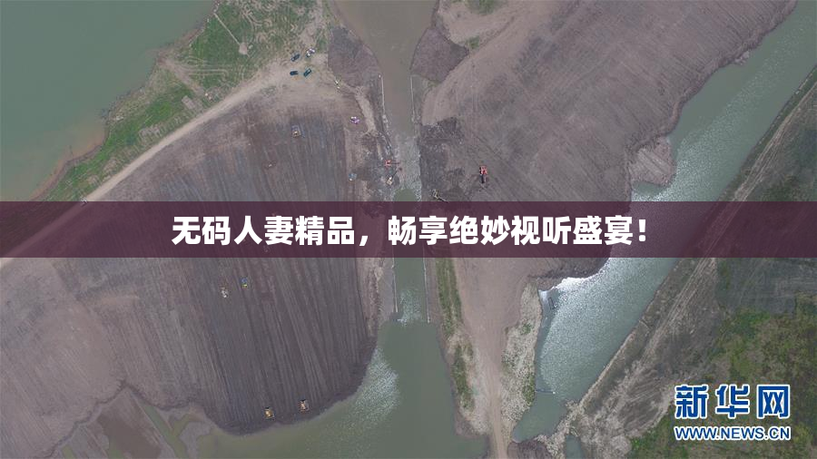 无码人妻精品，畅享绝妙视听盛宴！