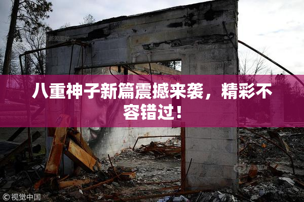 八重神子新篇震撼来袭，精彩不容错过！