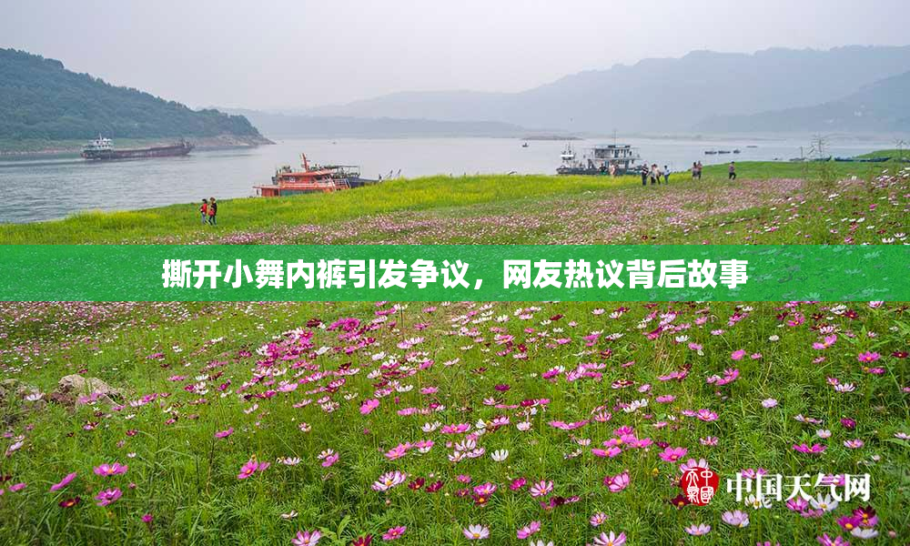 撕开小舞内裤引发争议，网友热议背后故事