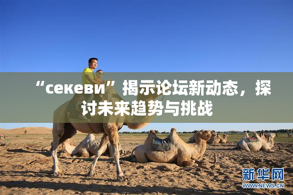 “ceкеви”揭示论坛新动态，探讨未来趋势与挑战