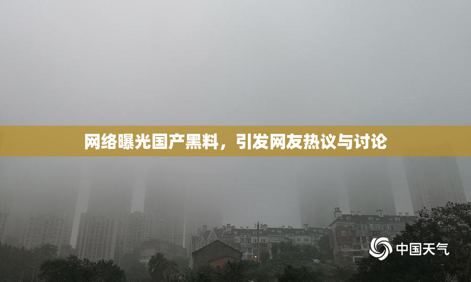 网络曝光国产黑料，引发网友热议与讨论